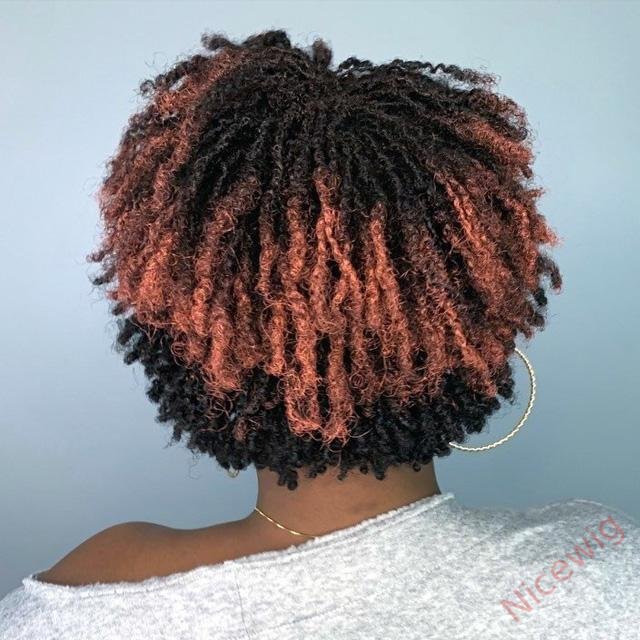 Best Design Africa Spiral Natural Short Curly Wig