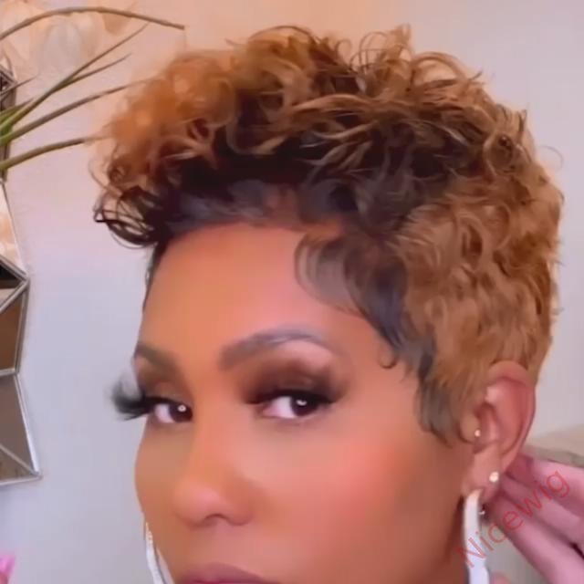 New Fashion short Curly Wig