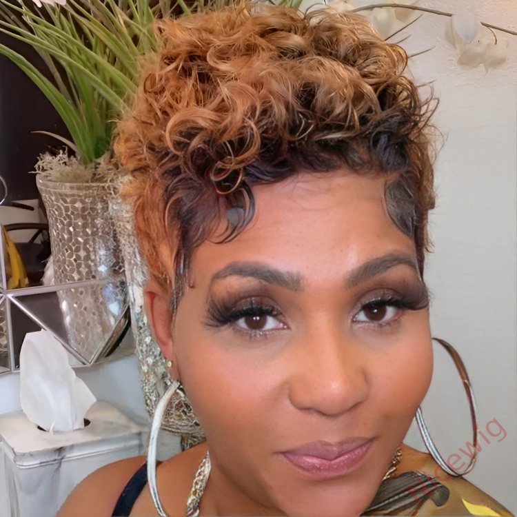 New Fashion short Curly Wig