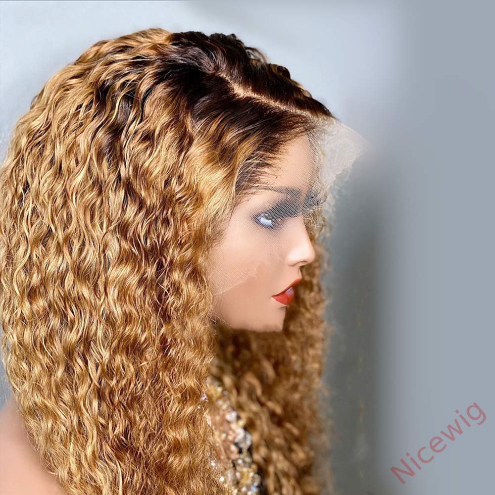 Glueless Black Gradient Light Brown Brazilian Curly Wigs