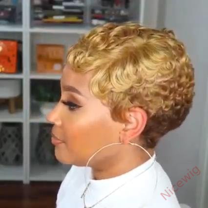Short Wavy Curly Heat-Friendly Pixed Cut Wig