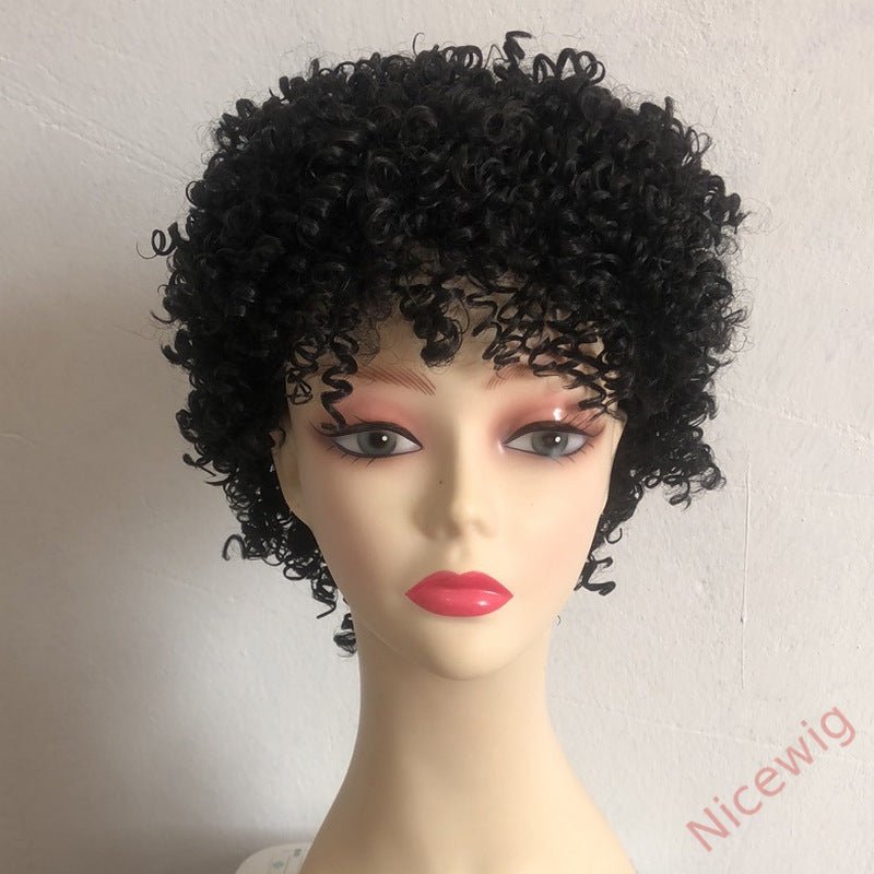 Short Afro Kinky Curly Wigs for Black Women