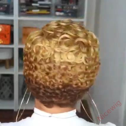 Short Wavy Curly Heat-Friendly Pixed Cut Wig