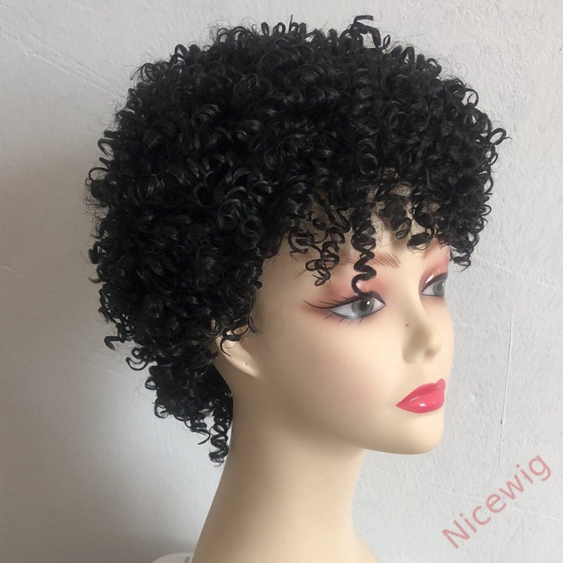 Short Afro Kinky Curly Wigs for Black Women