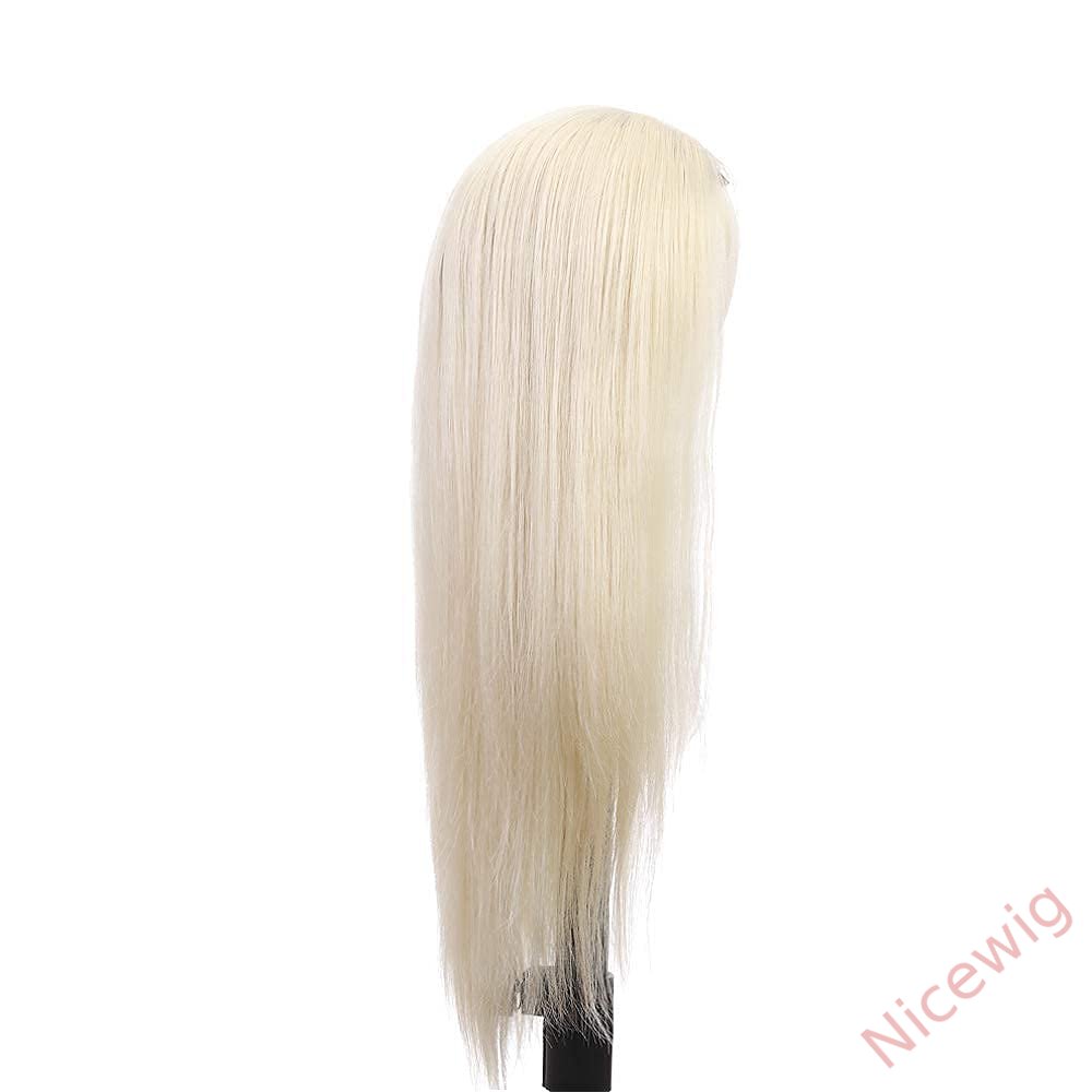 Glueless Natural Looking 20 Inch Blonde Straight Wigs For Black Women