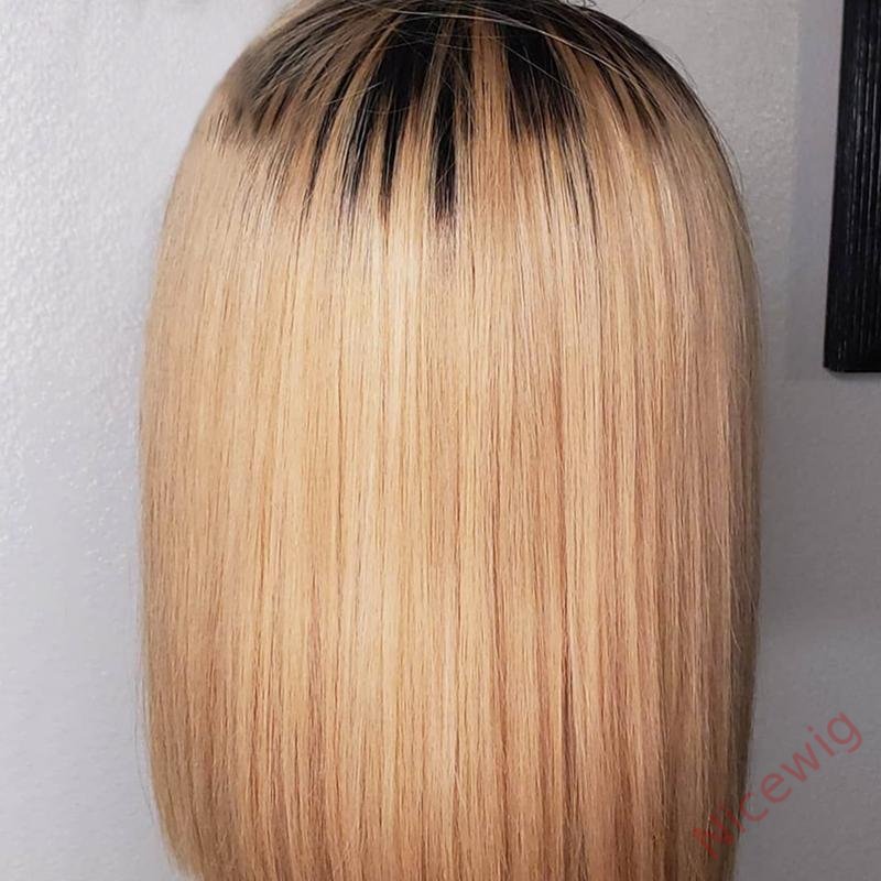Black Gradient Light Brown Brazilian Straight Hair Bob Wigs Lady Wig
