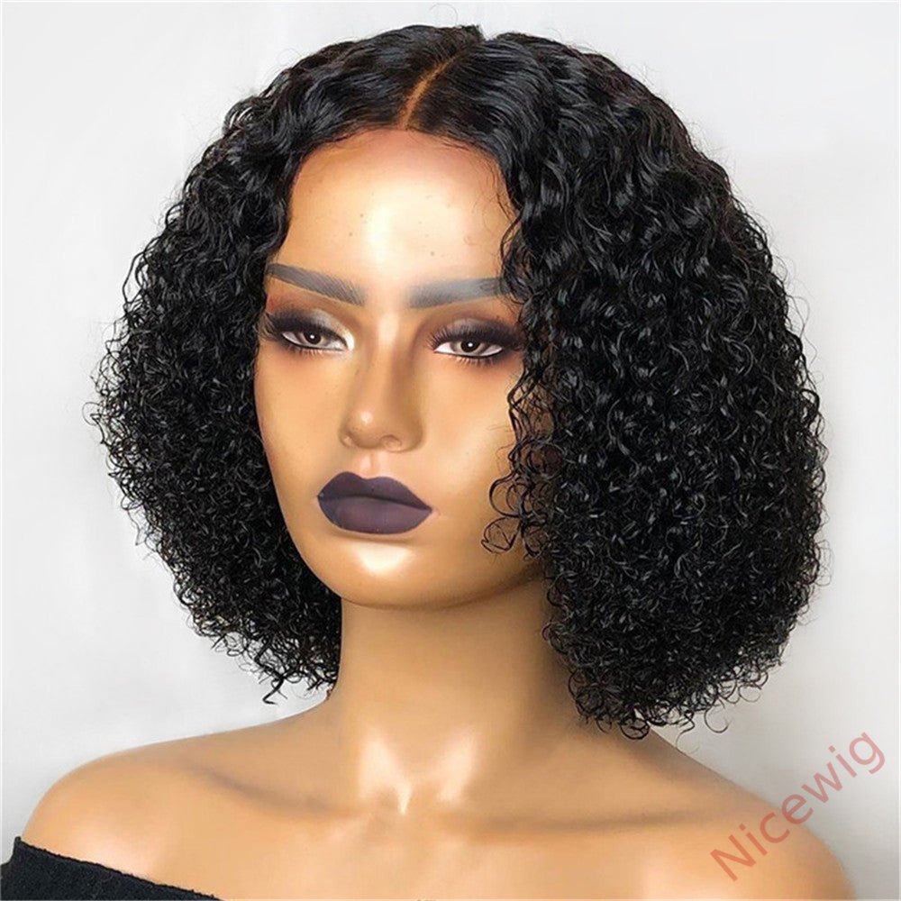 Fluffy Afro Kinky Curly Wigs Black Explosive Hair