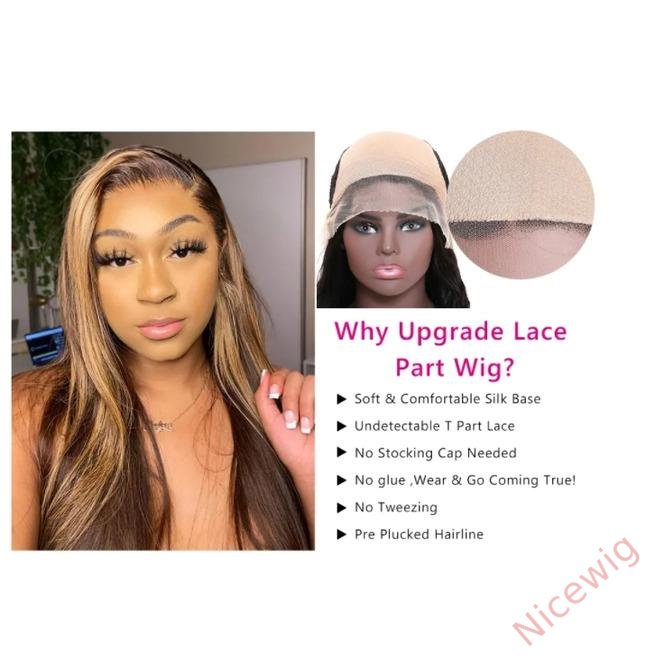 Hightlight Brown Mixed Blonde Long Wig Straight Wig