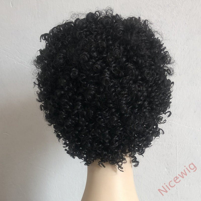 Short Afro Kinky Curly Wigs for Black Women