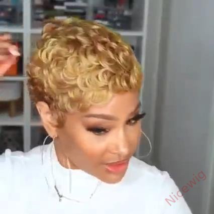 Short Wavy Curly Heat-Friendly Pixed Cut Wig